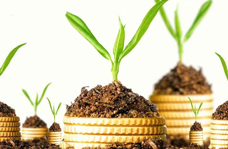 Phát triển tương lai cùng Khoa Kinh Doanh và Kinh Tế