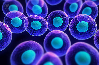Biotechnology Major