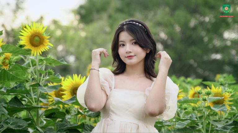 Cánh Đồng Hoa Mặt Trời – Hướng Về Tương Lai Tri Thức