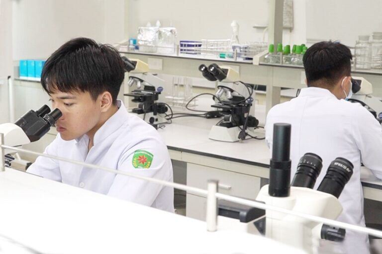 Medical Technology: The Way of the Future