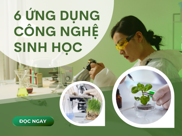 6 ứng dụng công nghệ sinh học
