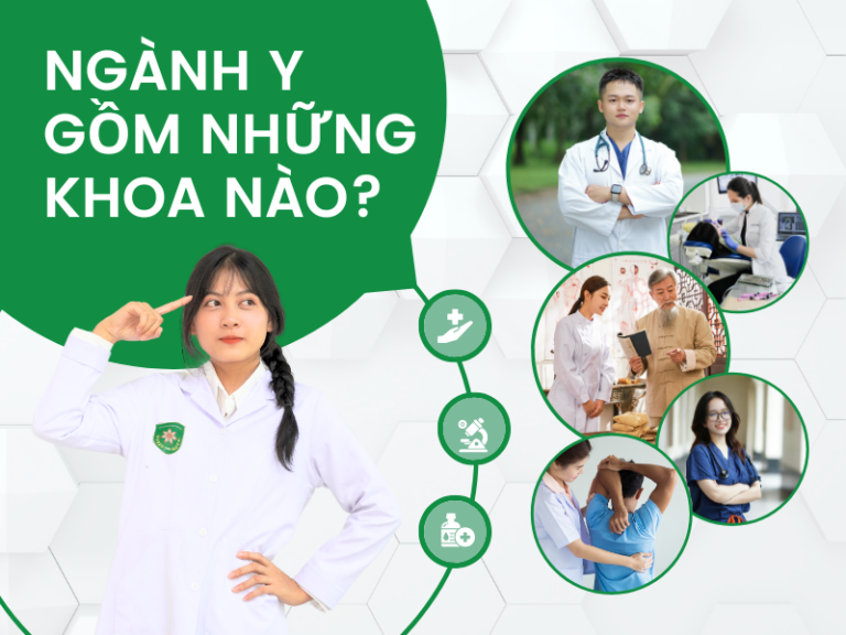 ngành y gồm những khoa nào