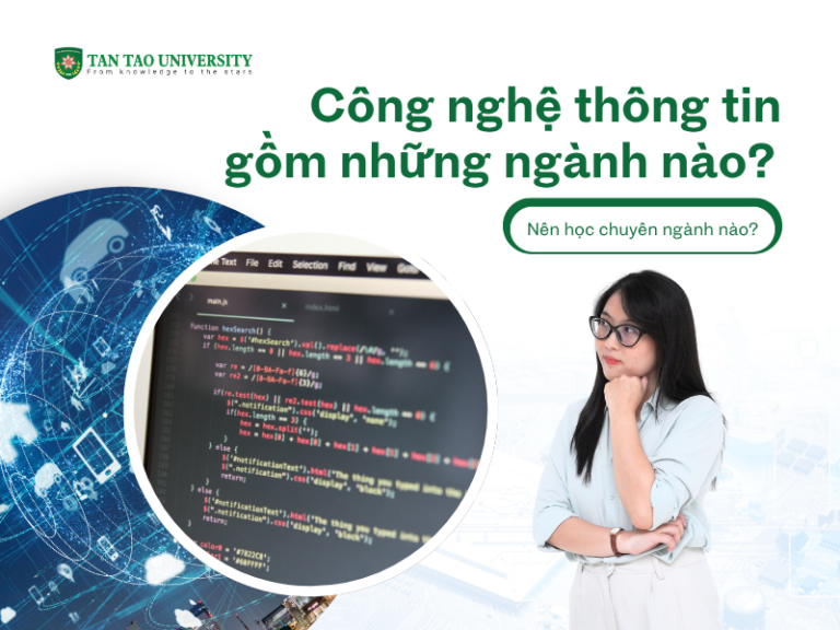 Công nghệ thông tin gồm những ngành nào