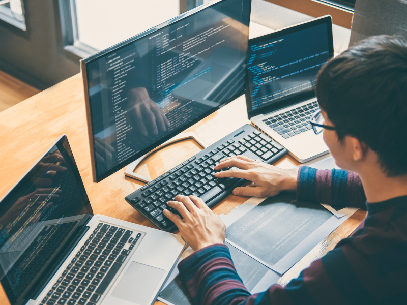 Phát triển Web (Web Development)