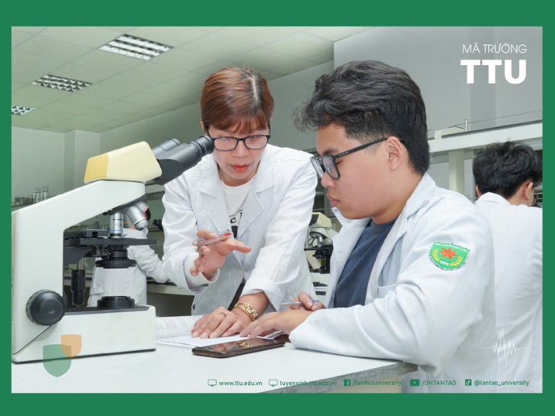 Nội dung chương trình đào tạo đại học