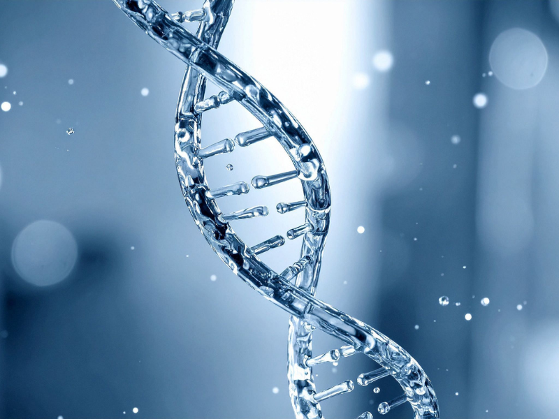 Chỉnh sửa gen (CRISPR/Cas9) và ứng dụng
