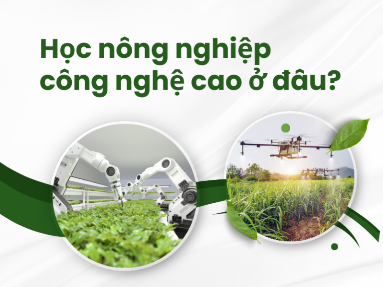 Học nông nghiệp công nghệ cao ở đâu?