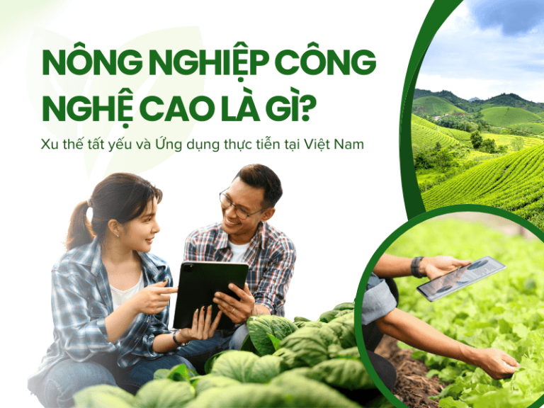 Nông nghiệp công nghệ cao là gì?