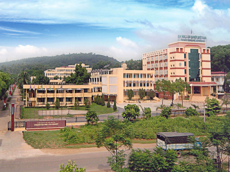 Trường Đại học Lâm nghiệp