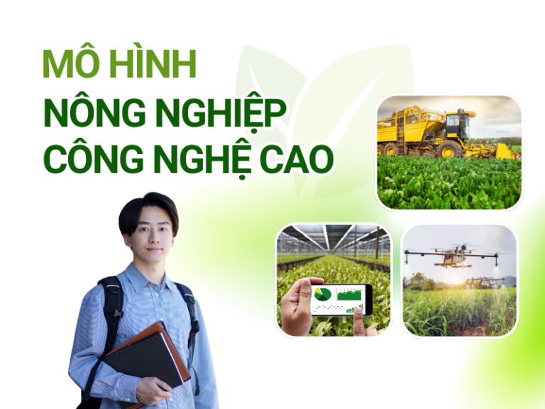 Top các mô hình nông nghiệp công nghệ cao